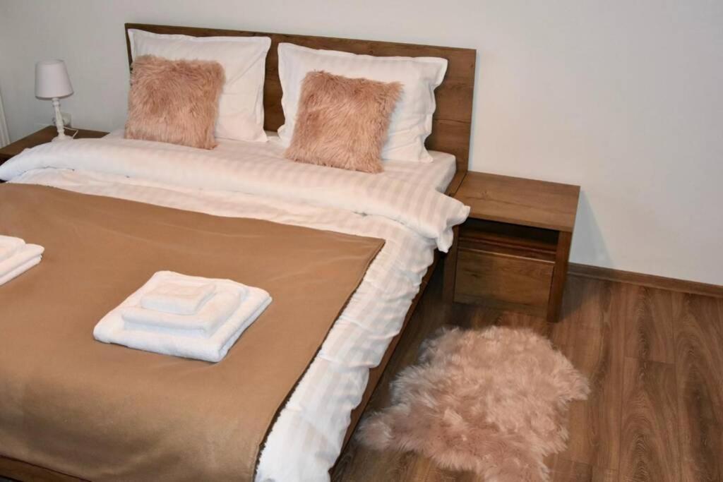 Pricop Residence Baia Mare Eksteriør billede