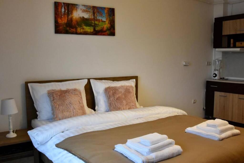 Pricop Residence Baia Mare Eksteriør billede